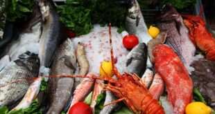 Pescatarian Beslenme Nedir?