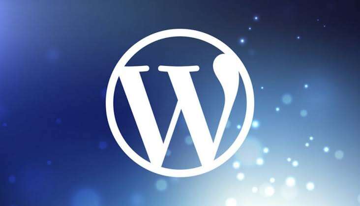 WordPress Etiketleri Eklerken Dikkat Edilmesi Gerekenler